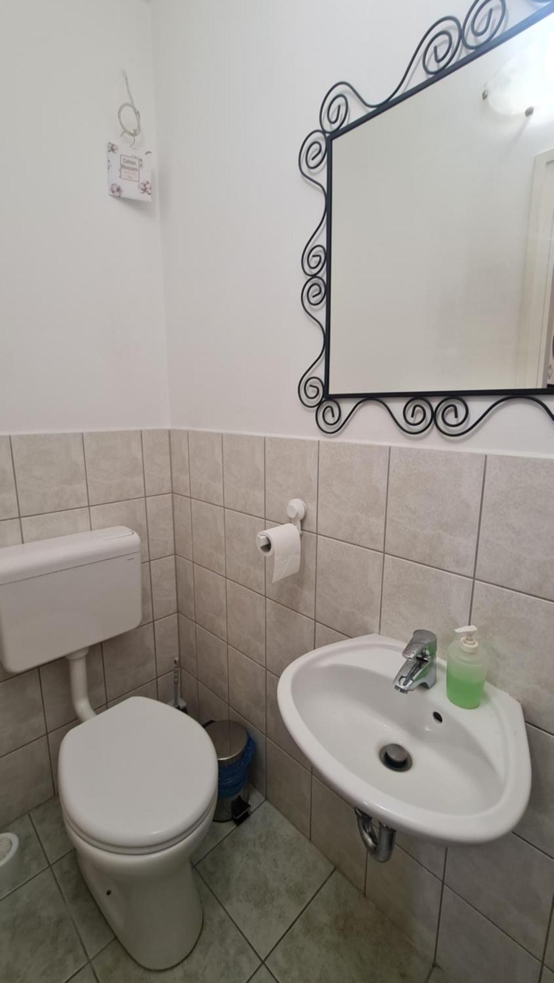Tulipan Apartman Segedyn Zewnętrze zdjęcie